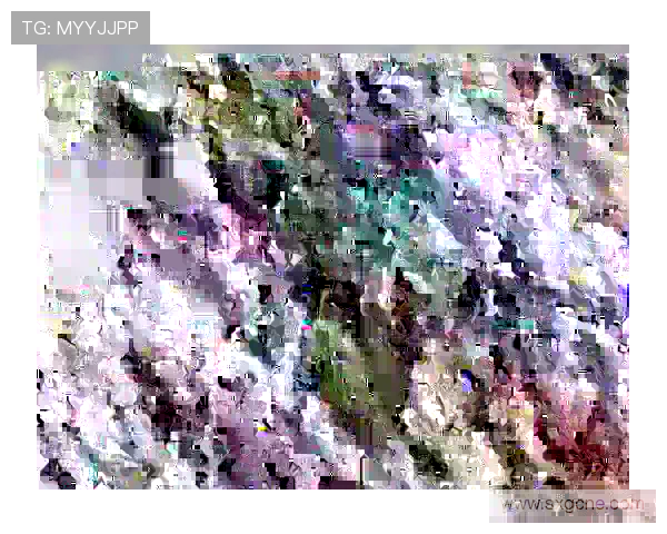 鲁本迪亚斯深情送祝福盼本菲卡与穆里尼奥携手迎来幸福时光 - 副本 鲁本迪亚斯深情送祝福盼本菲卡与穆里尼奥携手迎来幸福时光 - 副本