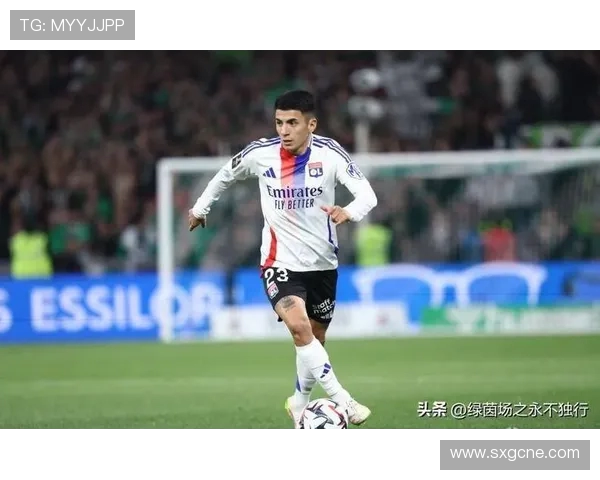 阿根廷官方确认马竞中场阿尔马达因伤无缘球队在美国进行的两场热身赛